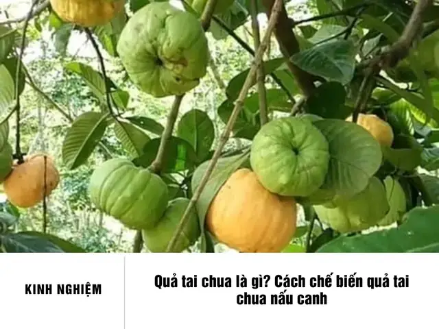 Cách Nấu Canh Cá Với Tai Chua