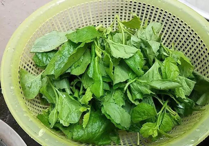Cách Nấu Canh Cải Trời