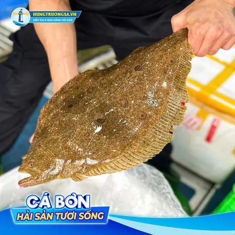 Cách Nấu Canh Chua Cá Bơn