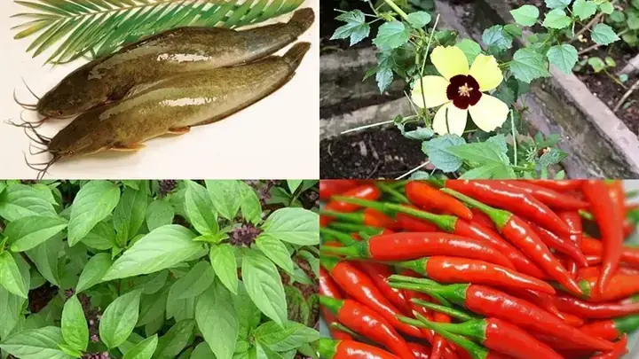 Cách Nấu Canh Chua Lá Bố