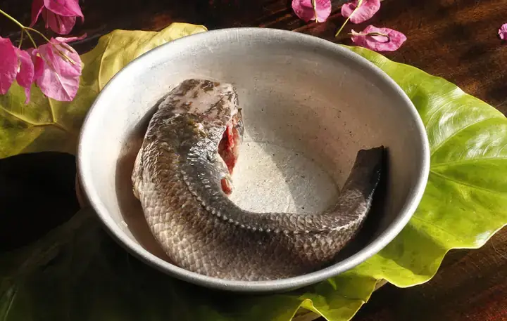Cách Nấu Canh Củ Sắn