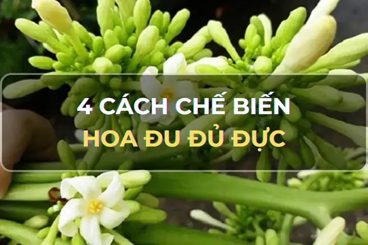 Cách Nấu Canh Hoa Đu Đủ Đực