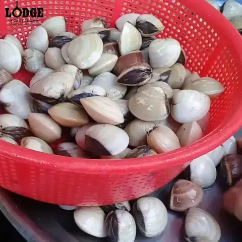 Cách Nấu Canh Ngao Chua Với Me