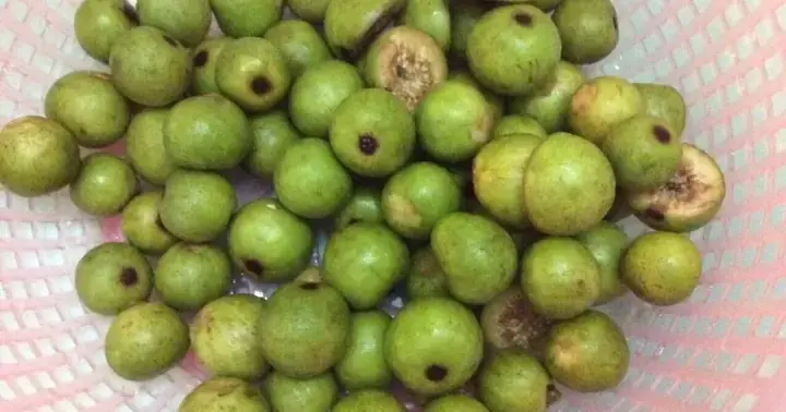 Cách Nấu Canh Quả Sung