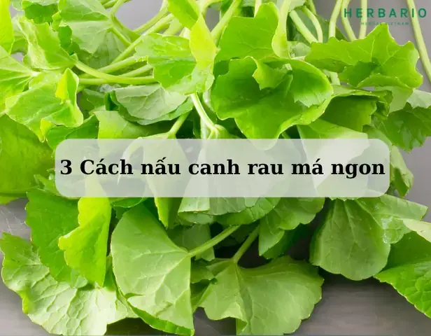 Cách Nấu Canh Rau Má Chay