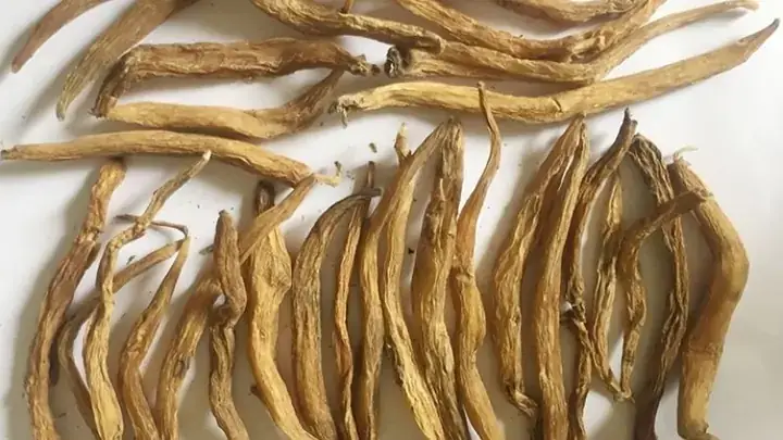 Cách Nấu Cao Bách Bộ