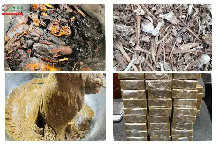 Cách Nấu Cao Động Vật