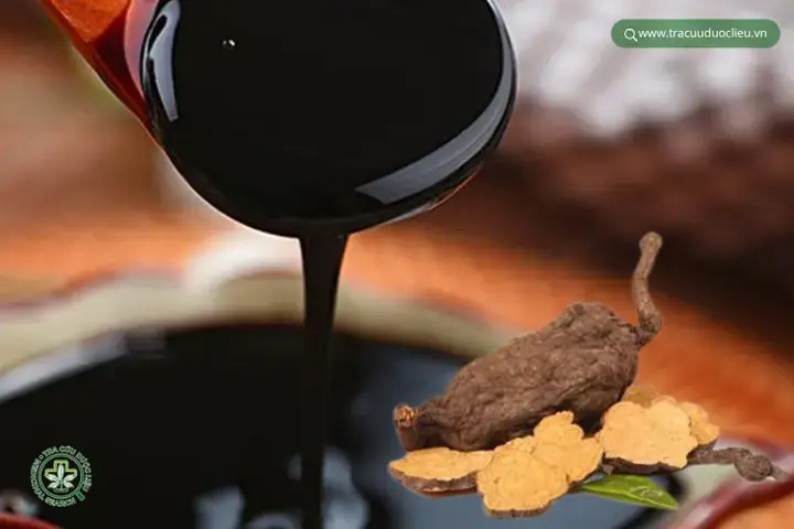 Cách Nấu Cao Hà Thủ Ô Đỏ