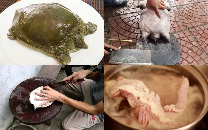 Cách Nấu Cháo Baba Cho Trẻ
