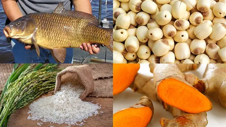 Cách Nấu Cháo Cá Chép Hạt Sen