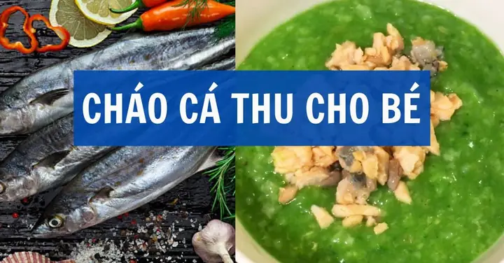 Cách Nấu Cháo Cá Thu Cho Bé 8 Tháng