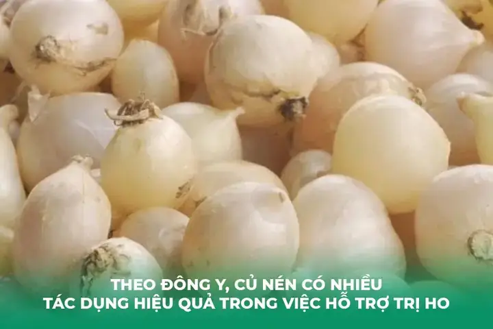 Cách Nấu Cháo Củ Nén Giải Cảm