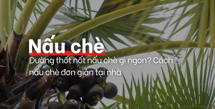 Cách Nấu Chè Đường Thốt Nốt