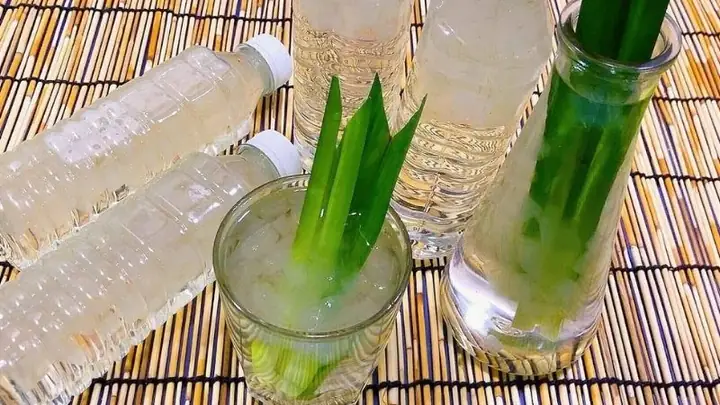 Cách Nấu Chè Nha Đam Lá Dứa