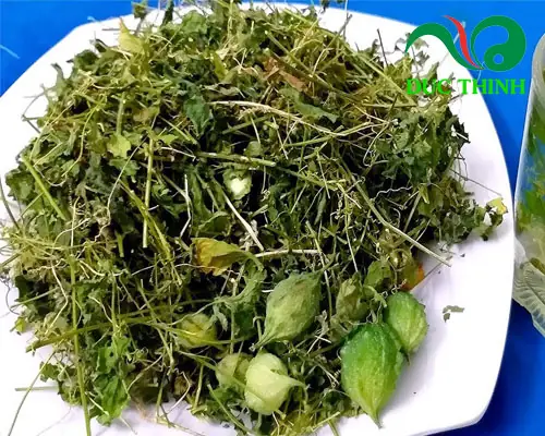 Cách Nấu Dây Khổ Qua Rừng