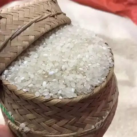 Cách Nấu Gạo Nếp Tú Lệ