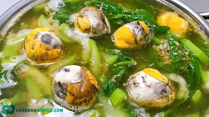 Cách Nấu Lẩu Hột Vịt Lộn Mồng Tơi