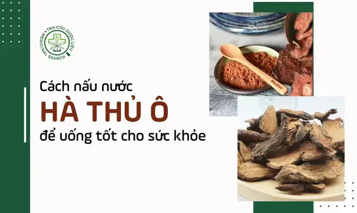 Cách Nấu Nước Lá Hà Thủ Ô Để Uống