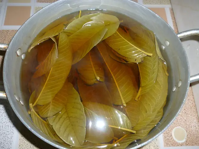 Cách Nấu Nước La Ổi