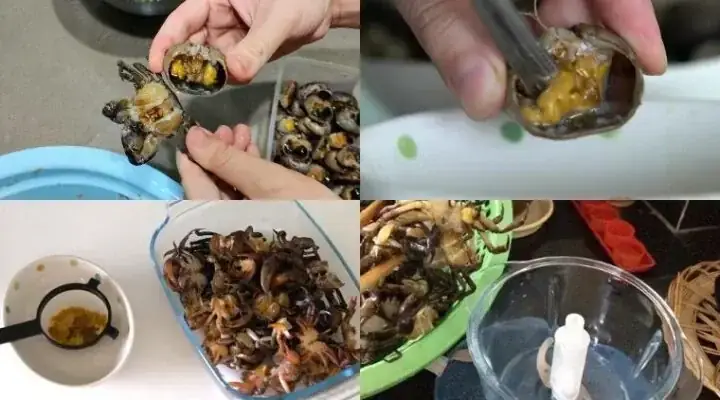 Cách Nấu Riêu Cua Dấm Bỗng