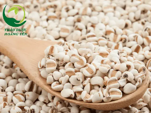 Cách Nấu Ý Dĩ Lợi Sữa
