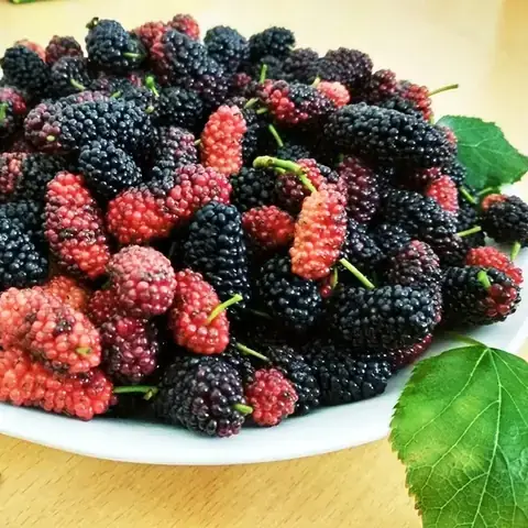 Cách Ngâm Dâu Da Với Đường
