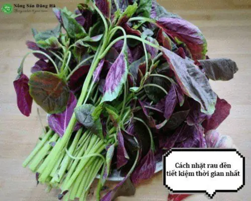Cách Nhặt Rau Dền Nấu Canh