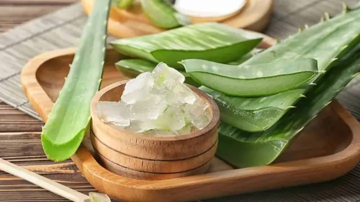 Cách Sơ Chế Nha Đam