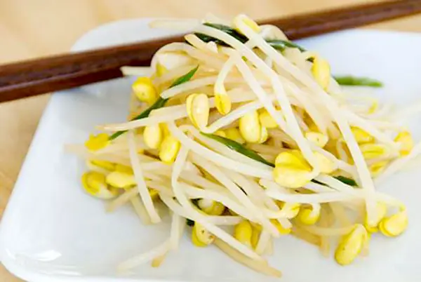 Cách Trồng Giá Bằng Đậu Nành
