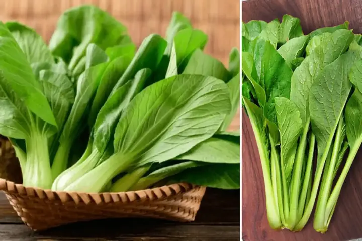 Cải Thìa Và Cải Ngọt