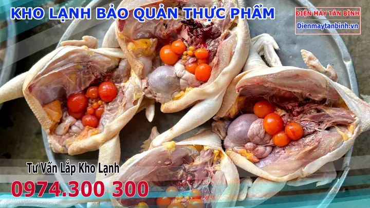 Gà Mái Dầu Nấu Món Gì Ngon