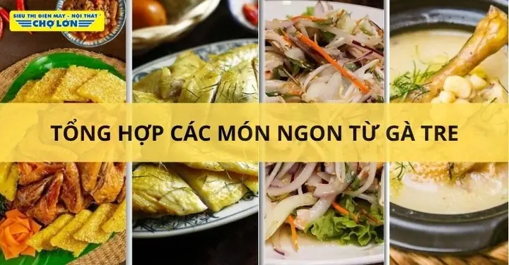 Gà Tre Nấu Món Gì Ngon