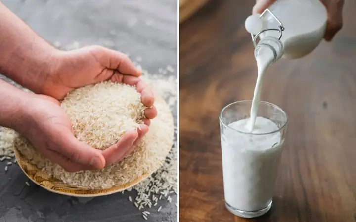 Gạo Nấu Với Sữa Tươi