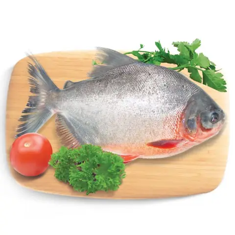 Giá Cá Chim Trắng Nước Ngọt