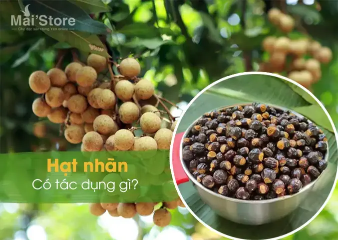 Hạt Nhãn Có Ăn Được Không