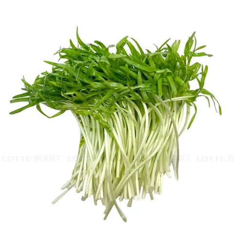Mầm Rau Muống Mua Ở Đâu