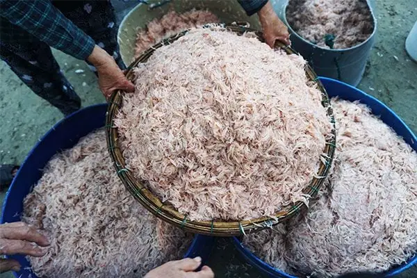 Mắm Ruốc Làm Từ Gì