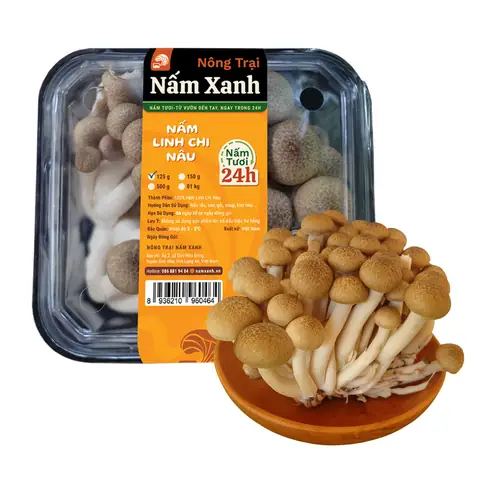 Nấm Linh Chi Nâu Tươi