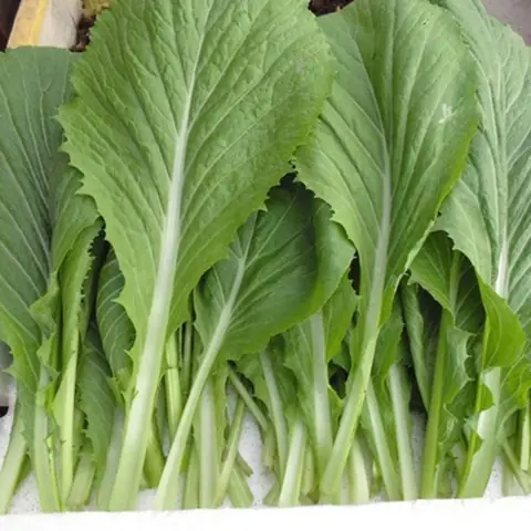 Rau Cải Cuốn Thịt Bò