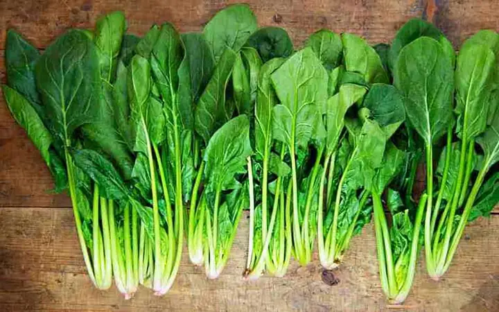 Rau Chân Vịt Cải Bó Xôi
