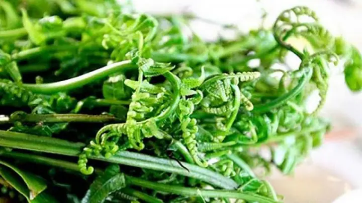 Rau Dớn Là Rau Gì
