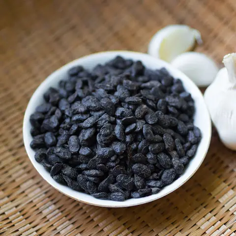 Tàu Xì Hột Mua Ở Đâu
