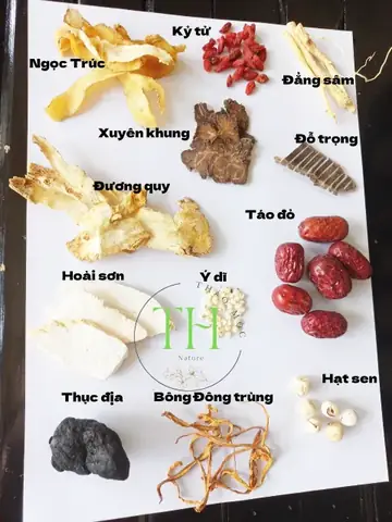 Tên Các Vị Thuốc Bắc Hầm Gà