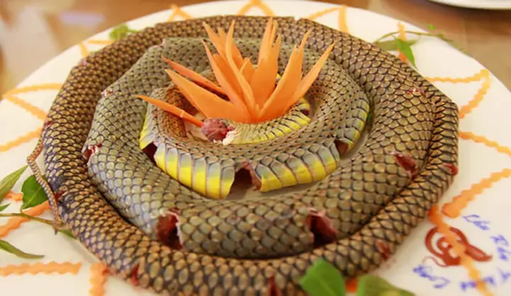 Thịt Rắn Nào Ngon Nhất