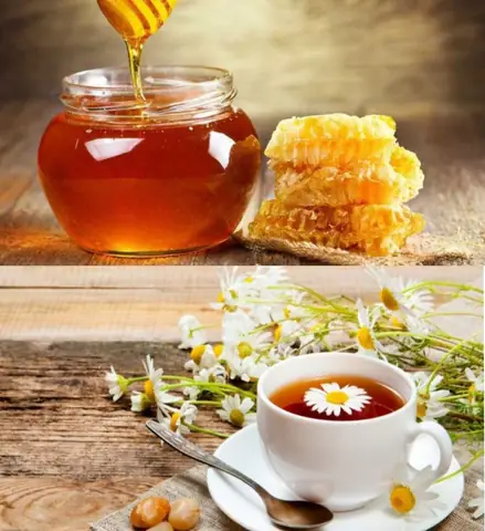 Trà Hoa Cúc Mật Ong