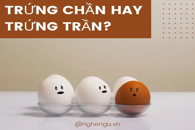 Trứng Chần Hay Trứng Trần