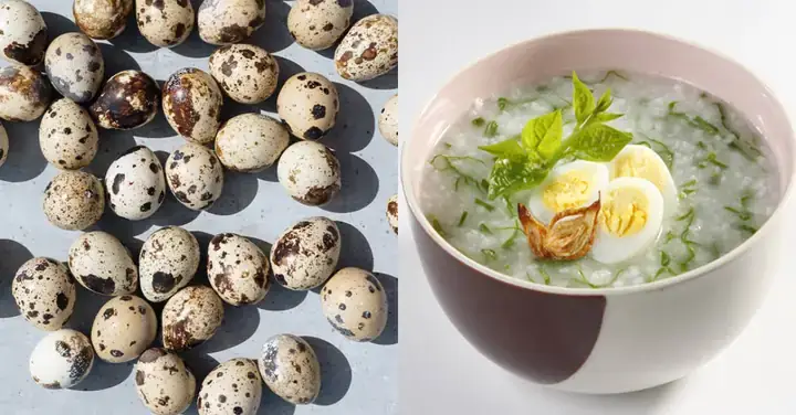 Trứng Cút Nấu Gì Cho Bé Ăn Dặm
