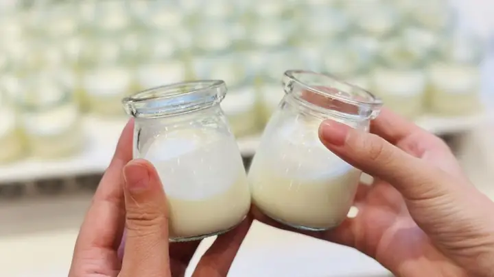 Ủ Sữa Chua 12 Tiếng Có Sao Không
