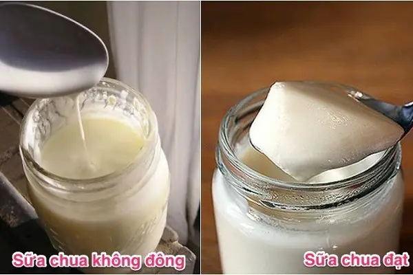 Ủ Sữa Chua Bao Lâu
